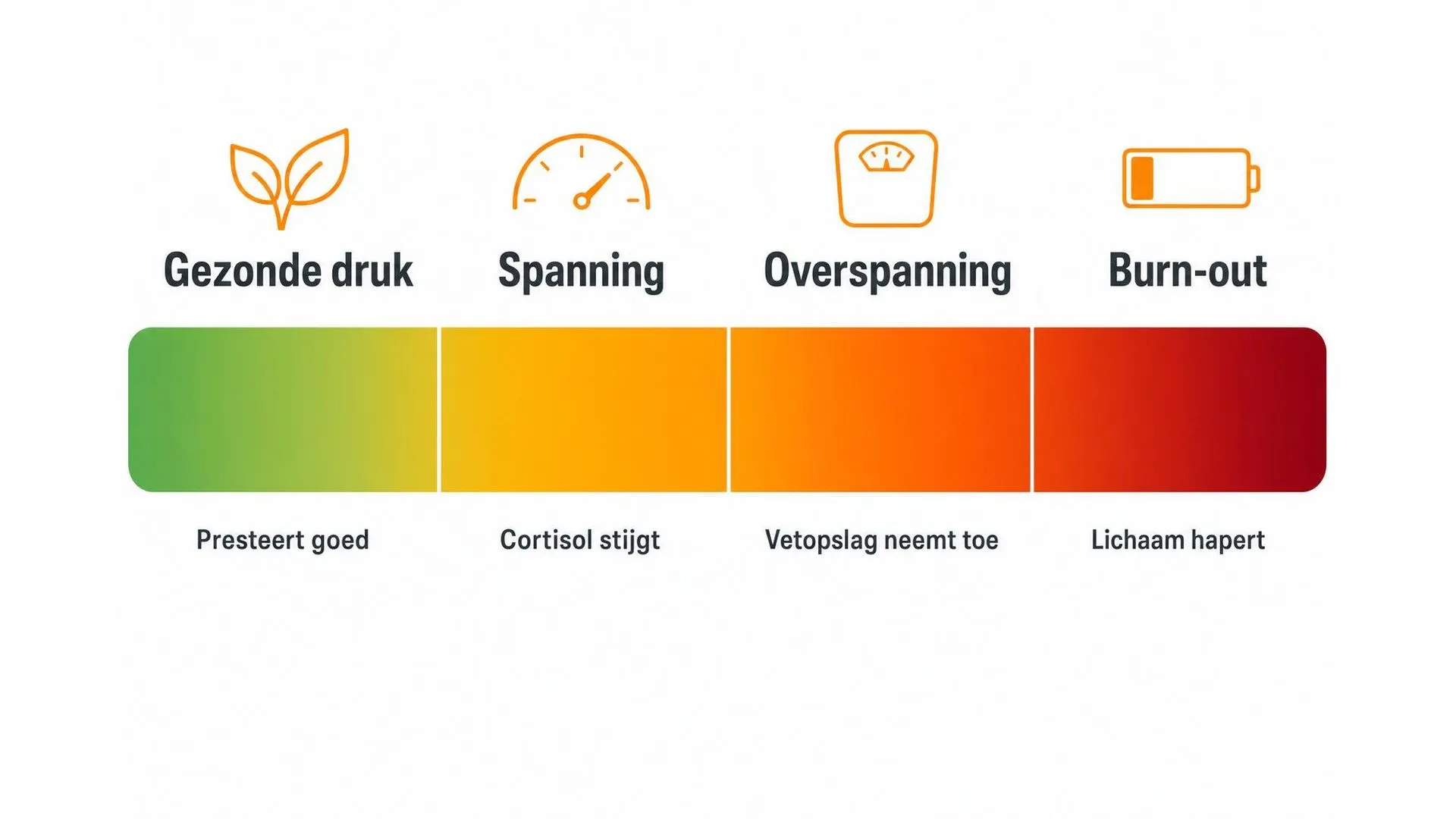 Spectrum van gezonde druk naar burn-out met effecten op cortisol en vetopslag