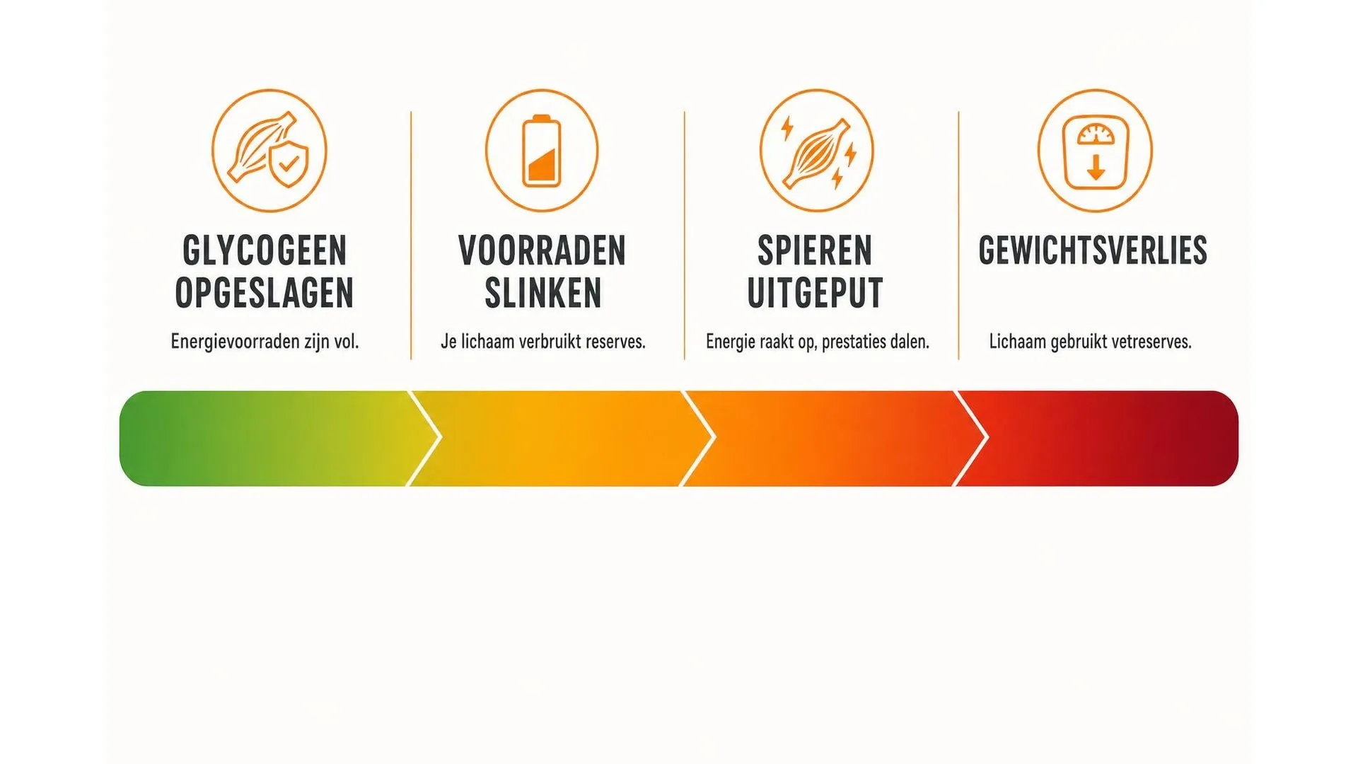 Spectrum van energieafbraak in spieren bij burn-out in vier stadia