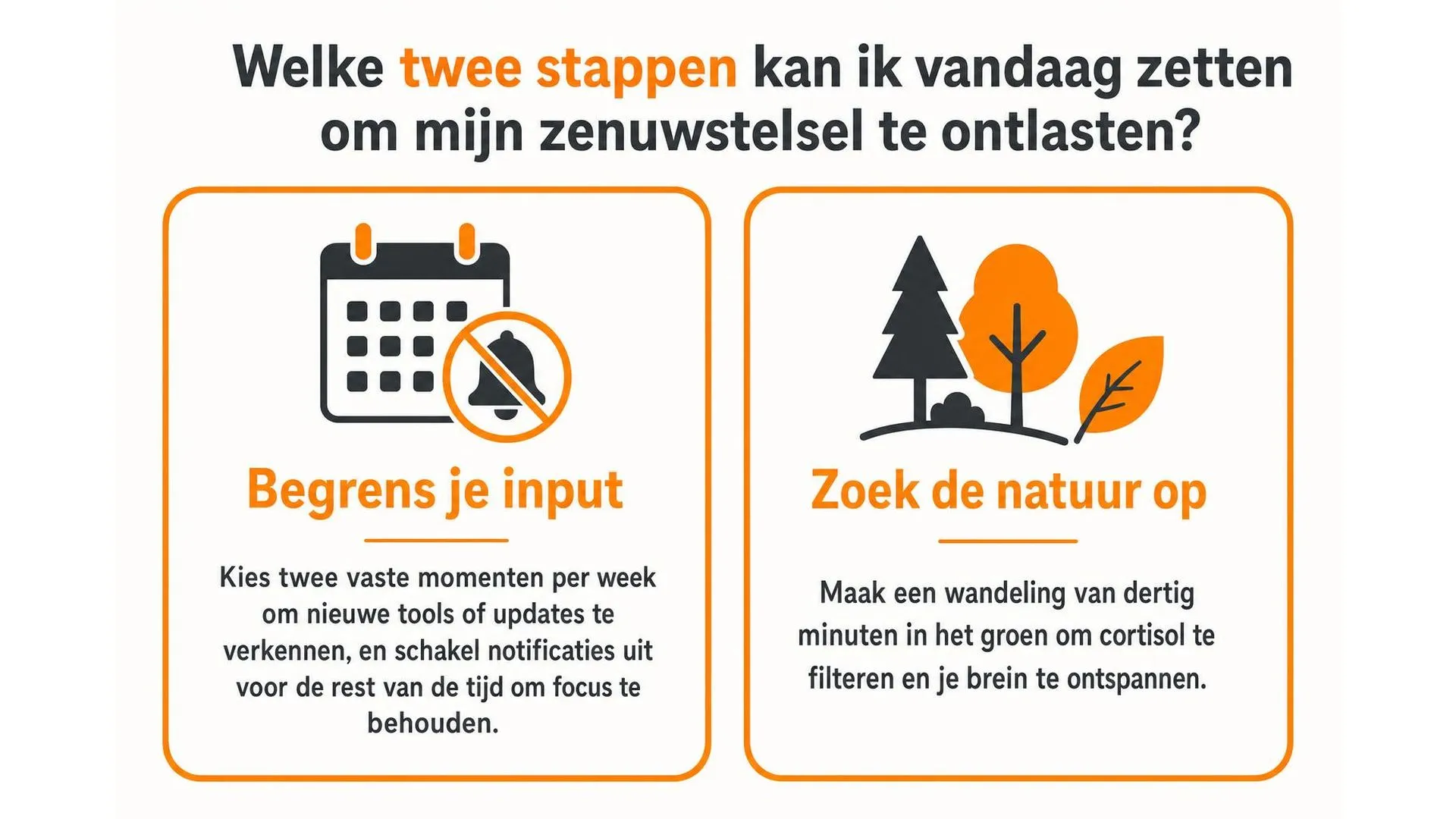 Twee stappen om je zenuwstelsel te ontlasten: input begrenzen en de natuur opzoeken