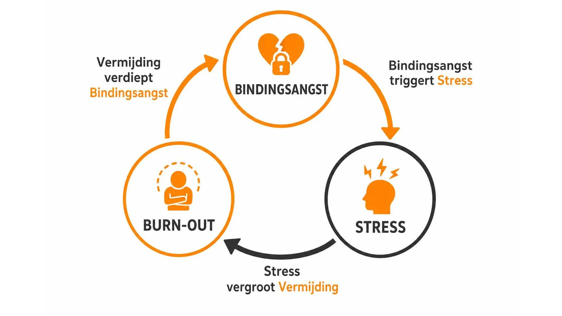 Cirkeldiagram dat de wisselwerking toont tussen bindingsangst, stress en vermijdingsgedrag