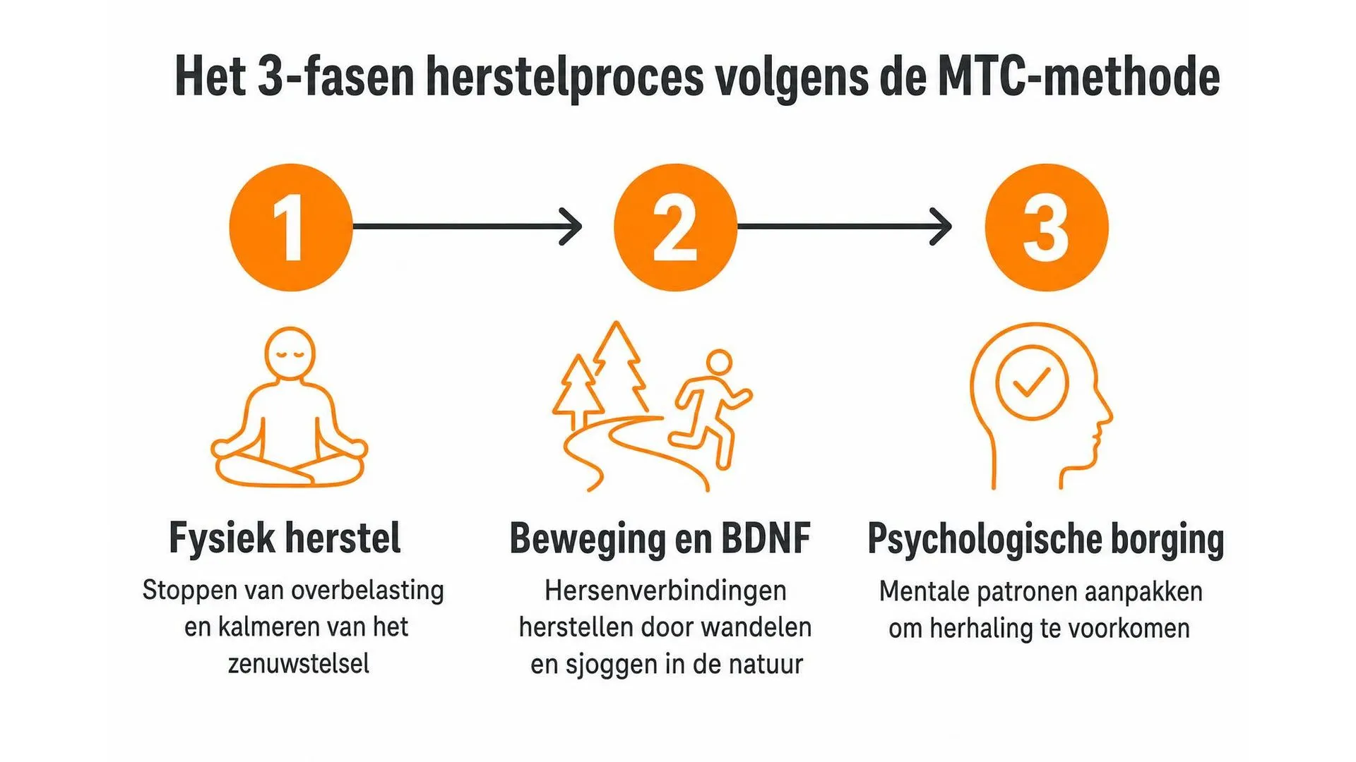 Tijdlijn met de drie fases van het MTC herstelproces: fysiek herstel, beweging en BDNF, psychologische borging