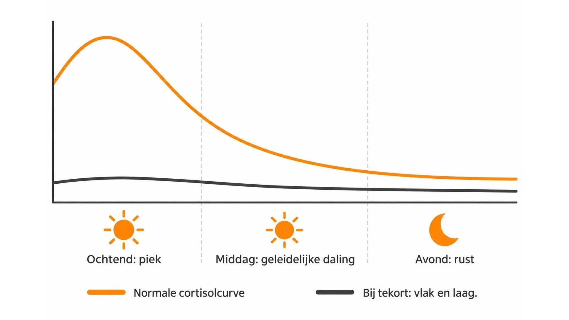 Lijngrafiek die het normale dagritme van cortisol vergelijkt met een vlak, laag verloop bij een tekort.
