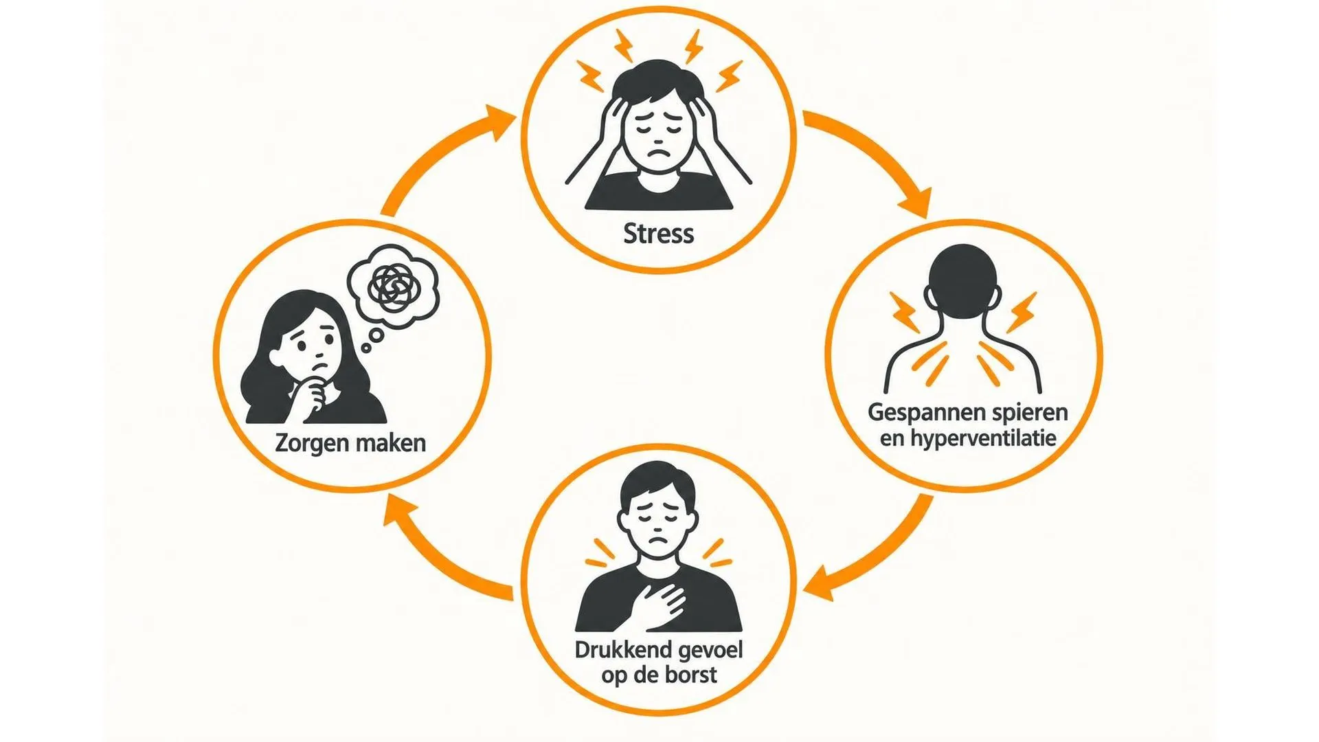 Cirkeldiagram van vier stappen die elkaar versterken: stress, gespannen ademhaling, drukkend gevoel en zorgen maken.