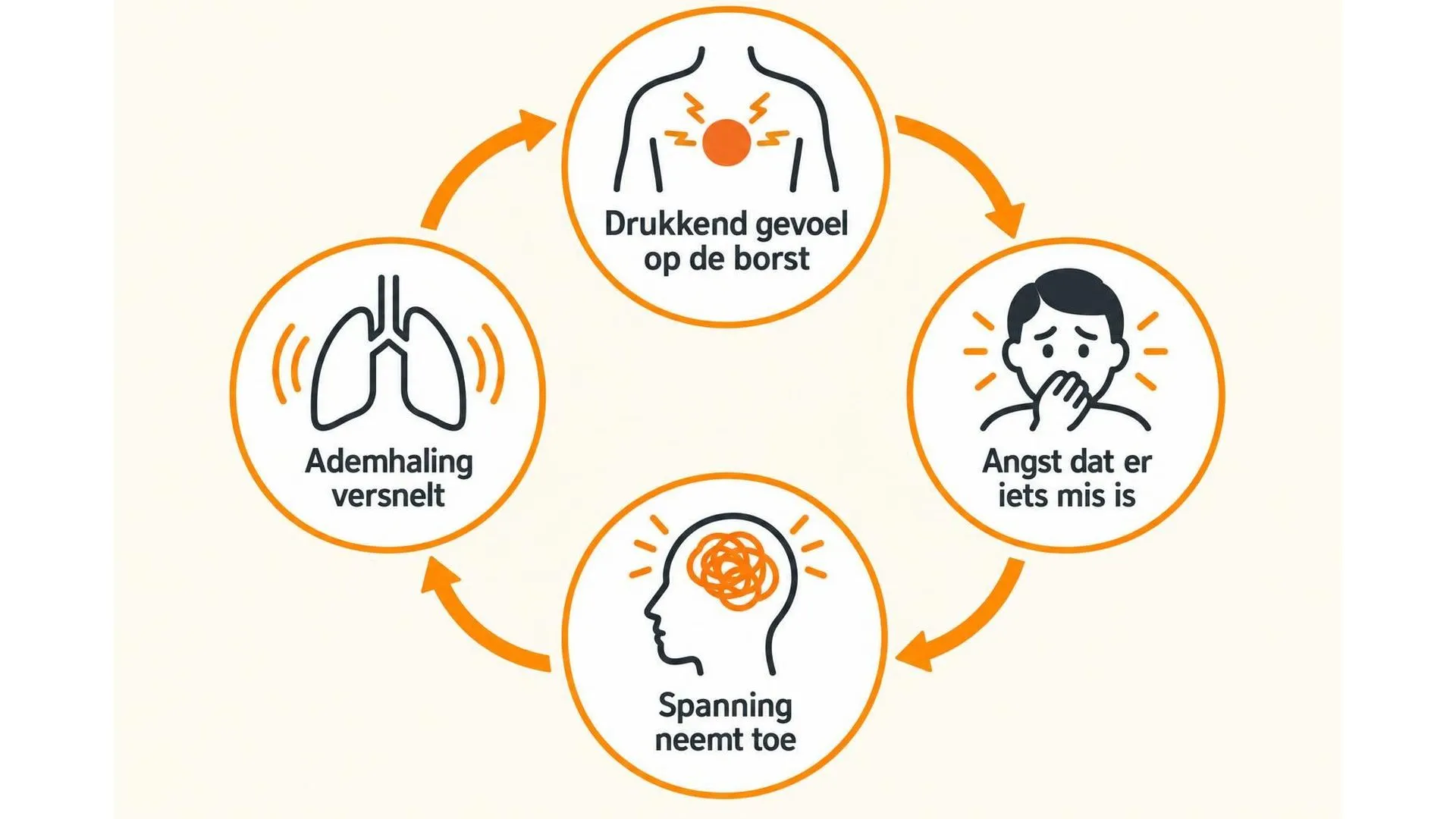 Cirkeldiagram van vier stappen die elkaar versterken: een drukkend gevoel op de borst leidt tot angst, angst verhoogt de spanning, spanning versnelt de ademhaling, en dat maakt het drukkende gevoel weer erger.