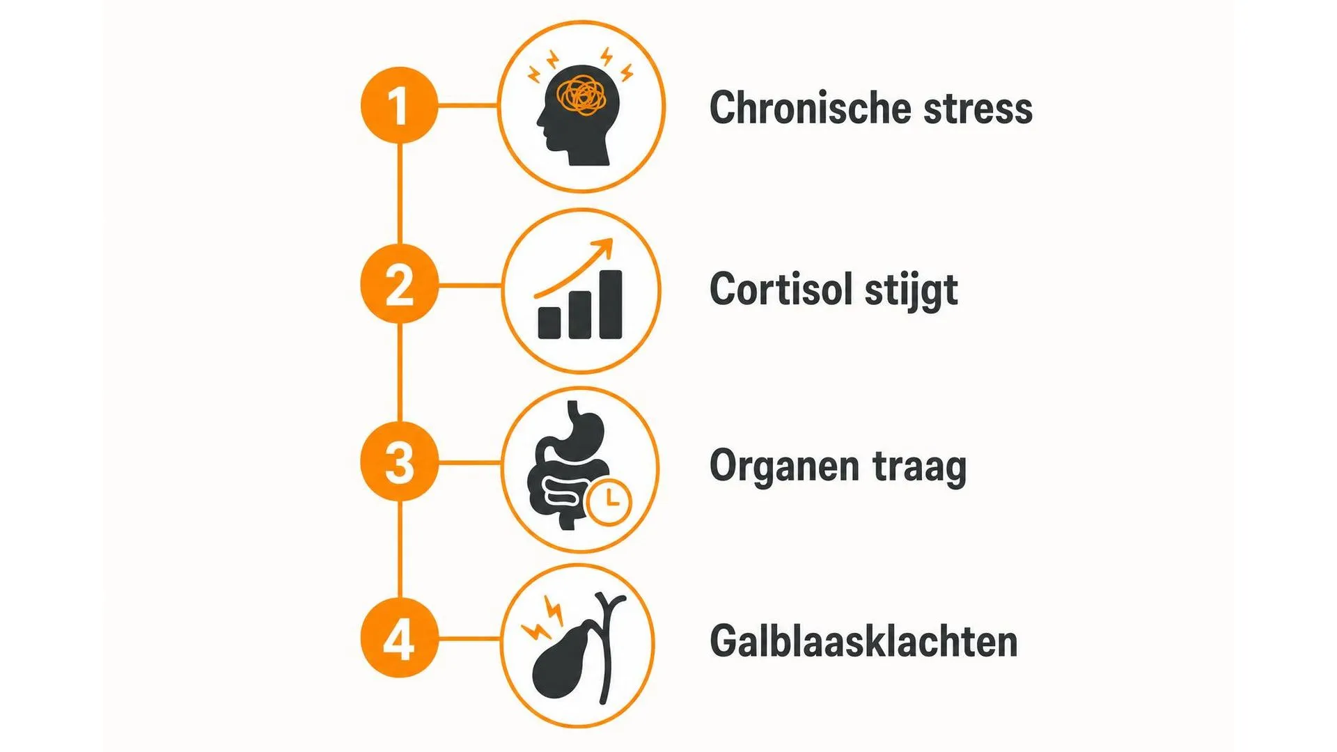 Tijdlijn van chronische stress naar galblaasklachten in vier stappen