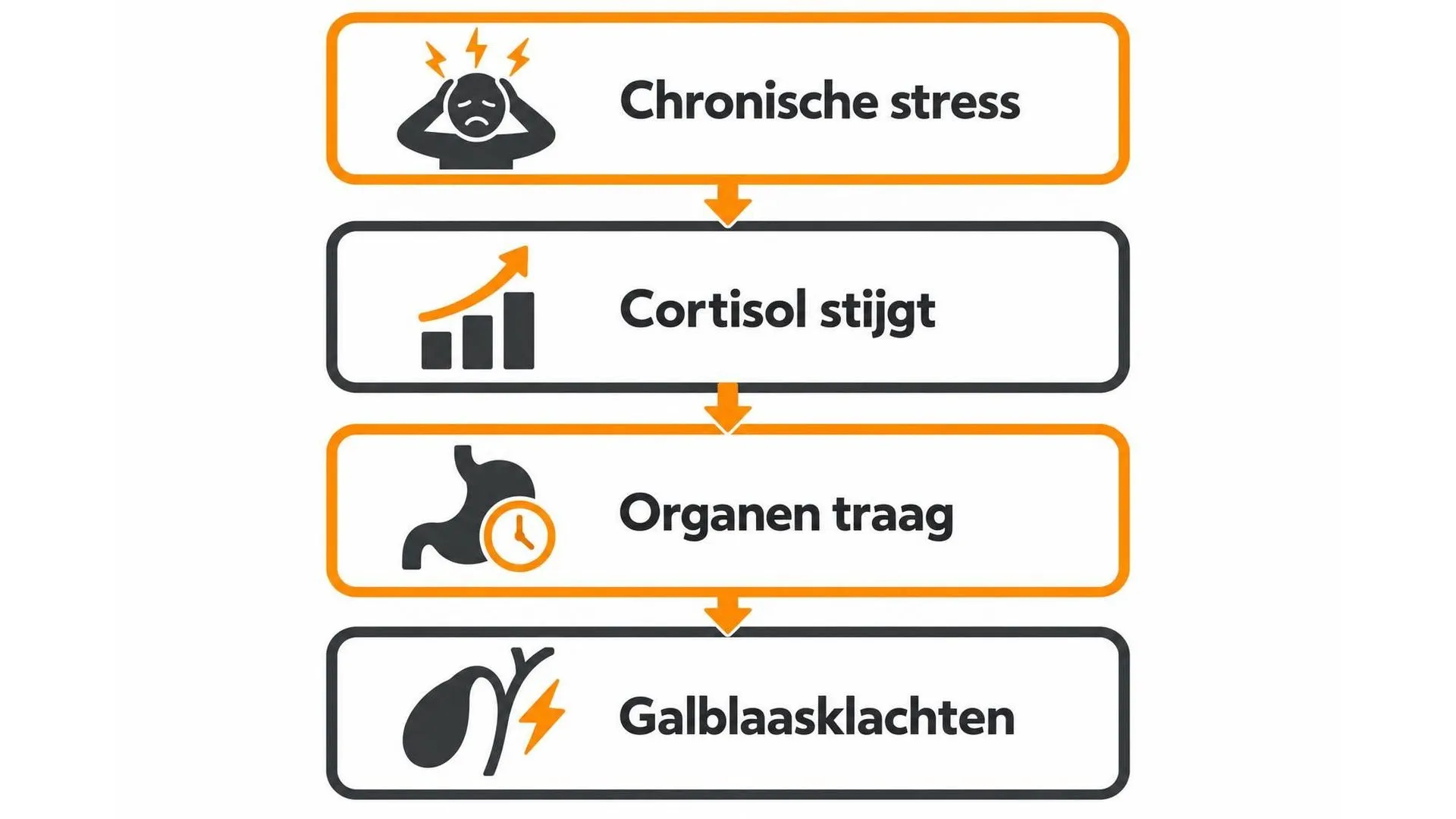 Stroomschema van chronische stress via stijgend cortisol en tragere organen naar galblaasklachten