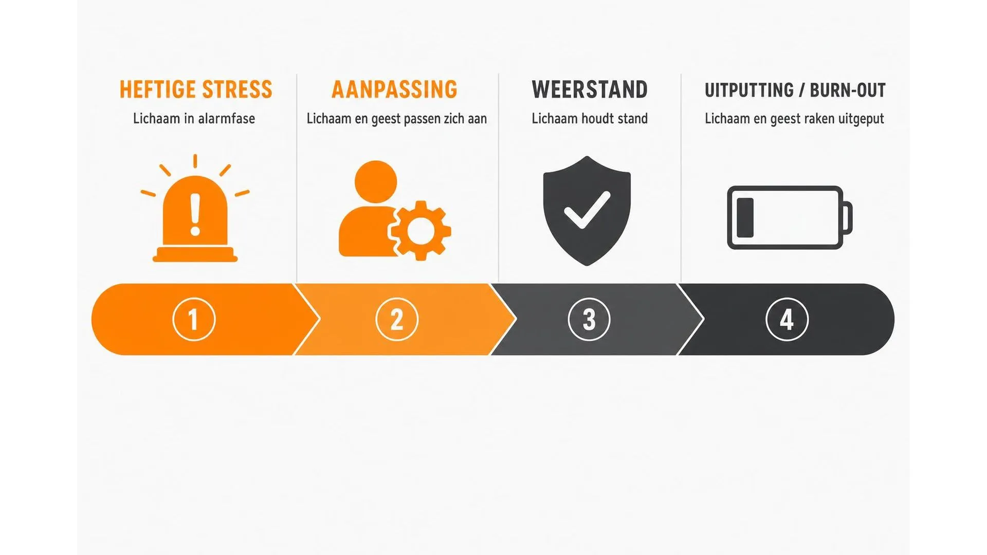 Horizontaal spectrum van vier stressfases: van heftige stress naar burn-out