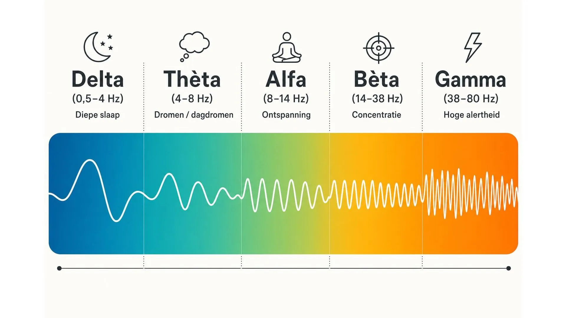 Spectrum van vijf hersengolven van delta tot gamma, van diepe slaap tot hoge alertheid
