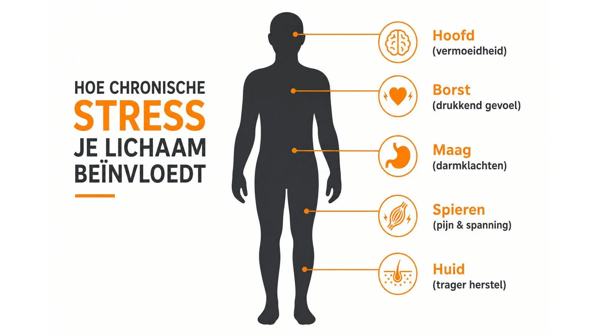 Lichaamsdiagram met vijf plekken waar chronische stress zich kan uiten