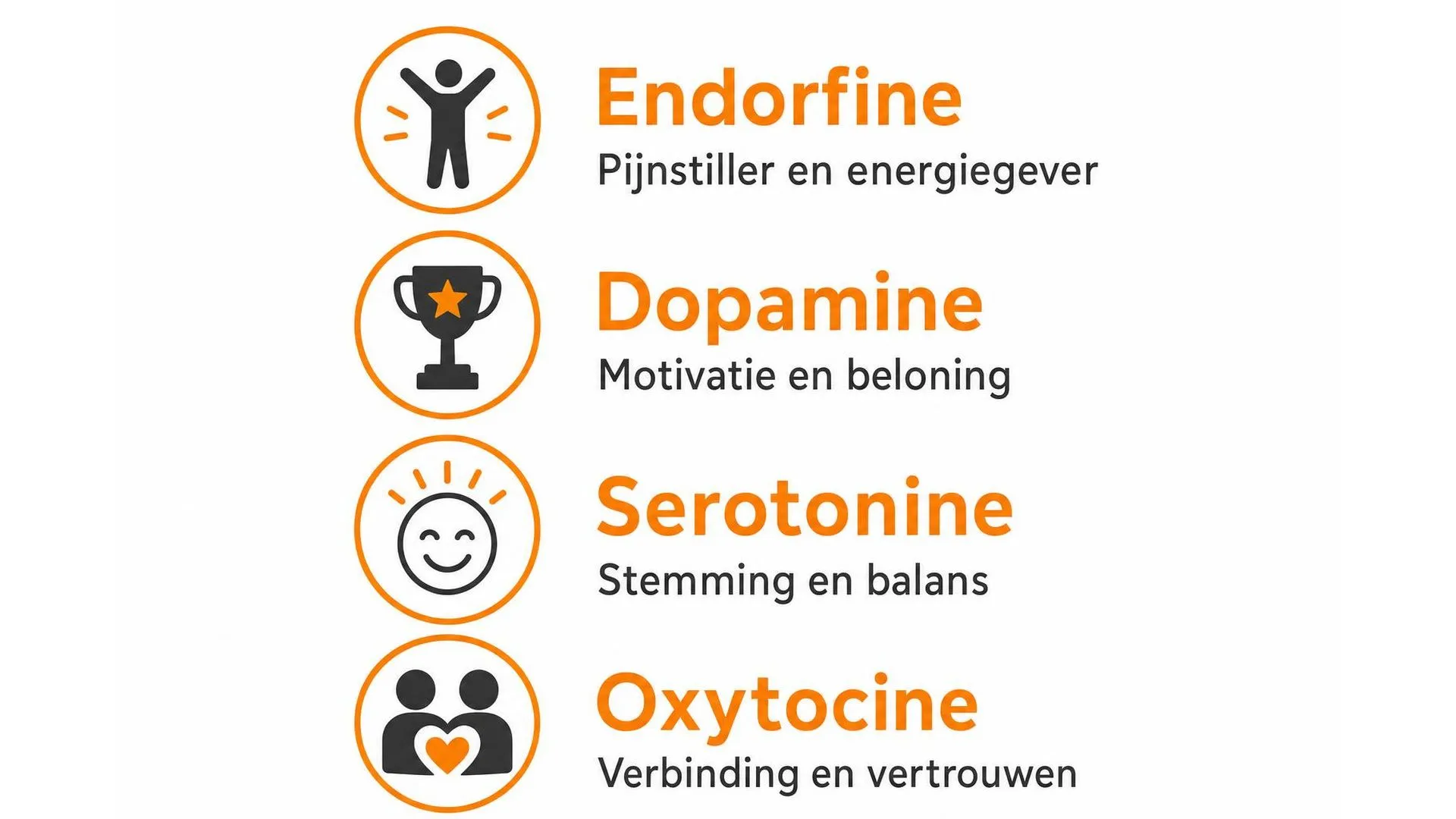 Overzicht van de vier gelukshormonen endorfine, dopamine, serotonine en oxytocine met hun functies