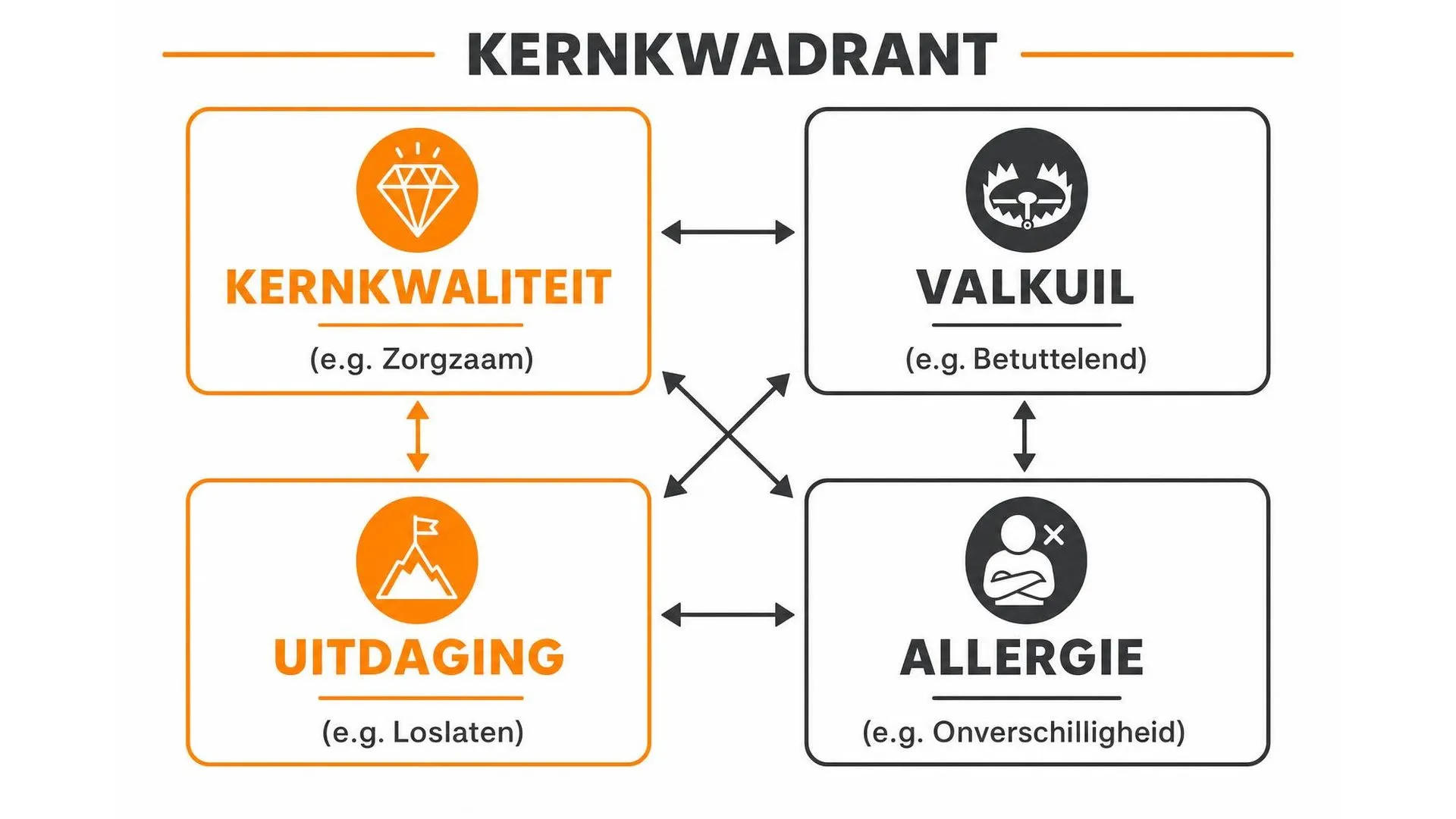Kernkwadrant model met vier vakken: kernkwaliteit, valkuil, uitdaging en allergie