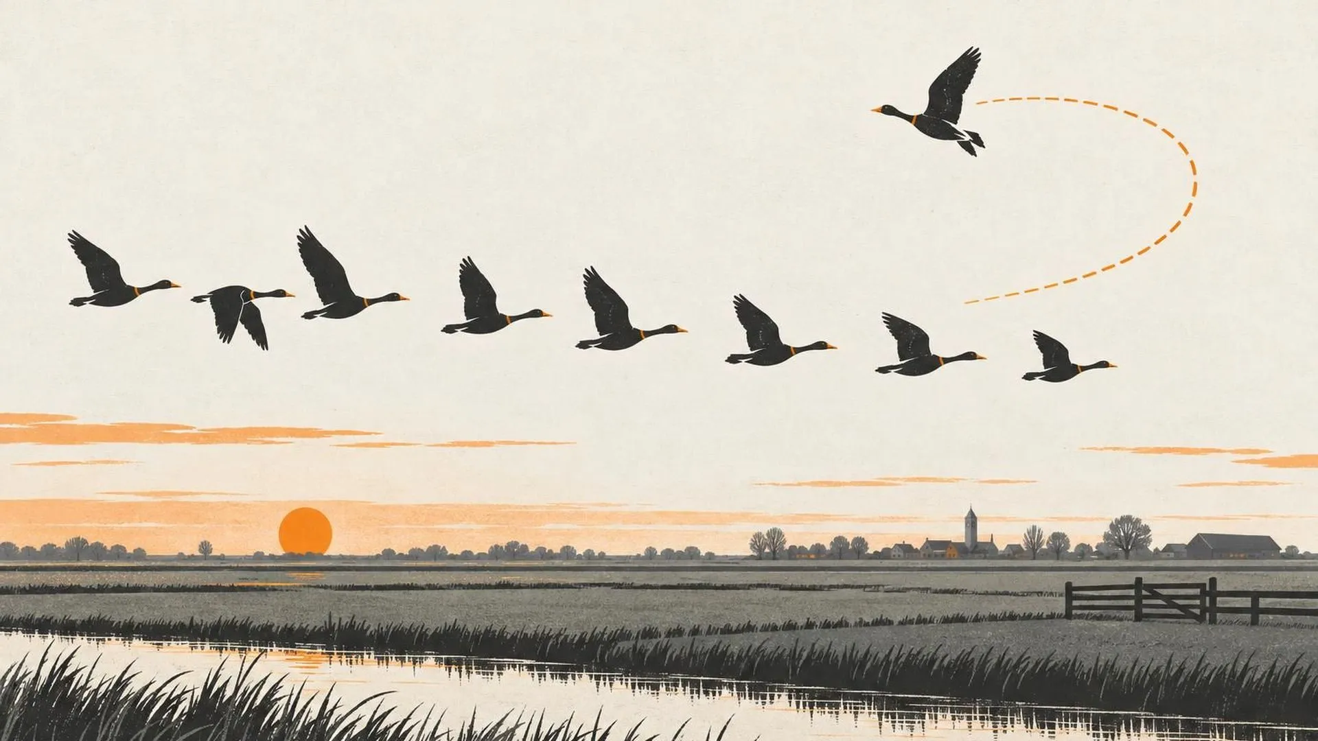 Een zwerm vogels vliegt over een vlak polderlandschap, één vogel breekt af en cirkelt terug over zijn eigen route.