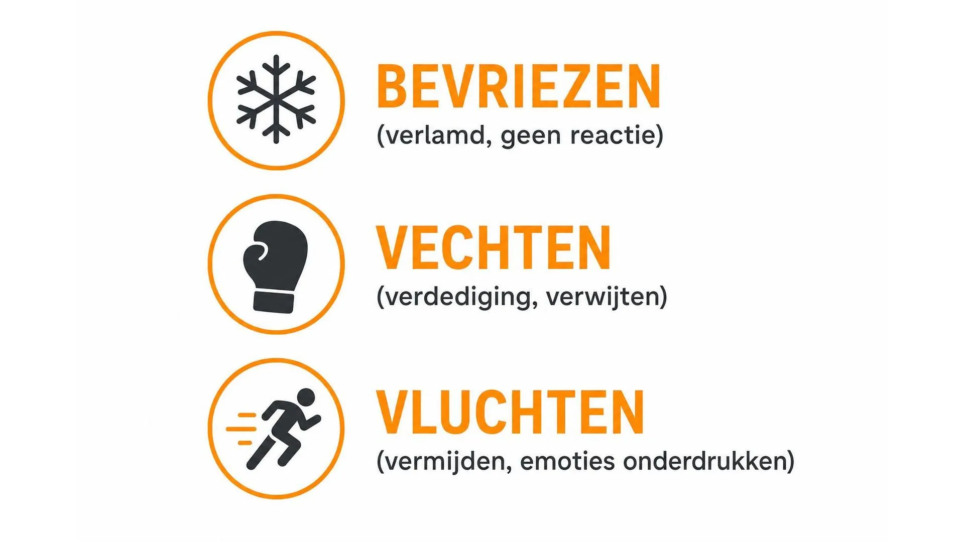 Drie basisreacties op kritiek: bevriezen, vechten en vluchten, elk met een korte toelichting