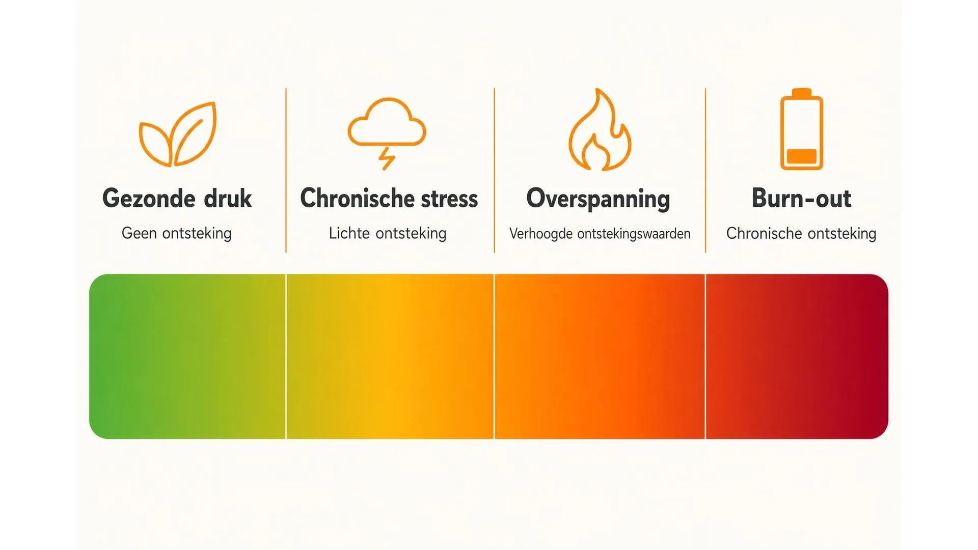 Spectrum van gezonde druk naar burn-out met bijbehorende ontstekingsniveaus per fase