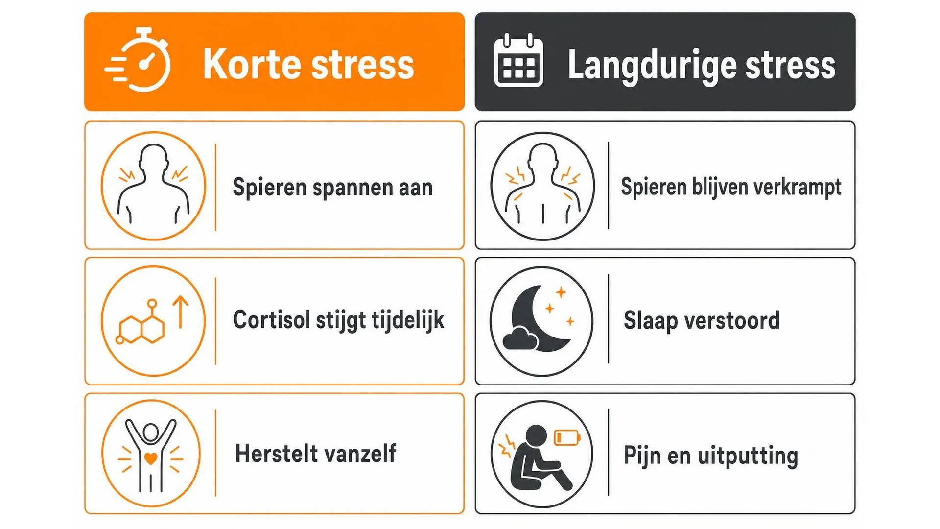Vergelijking tussen korte en langdurige stress en de gevolgen voor je spieren