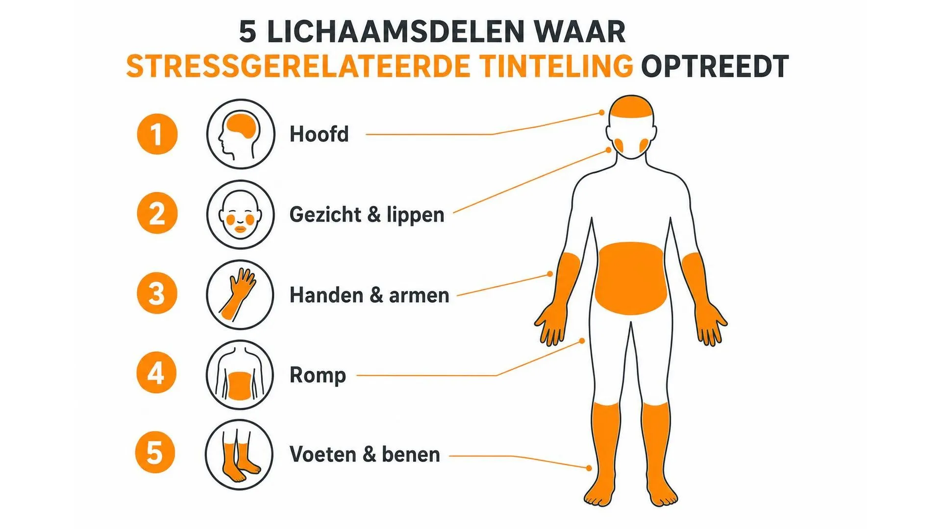 Overzicht van vijf lichaamsgebieden waar tintelingen door stress kunnen optreden: hoofd, gezicht en lippen, handen en armen, romp, voeten en benen
