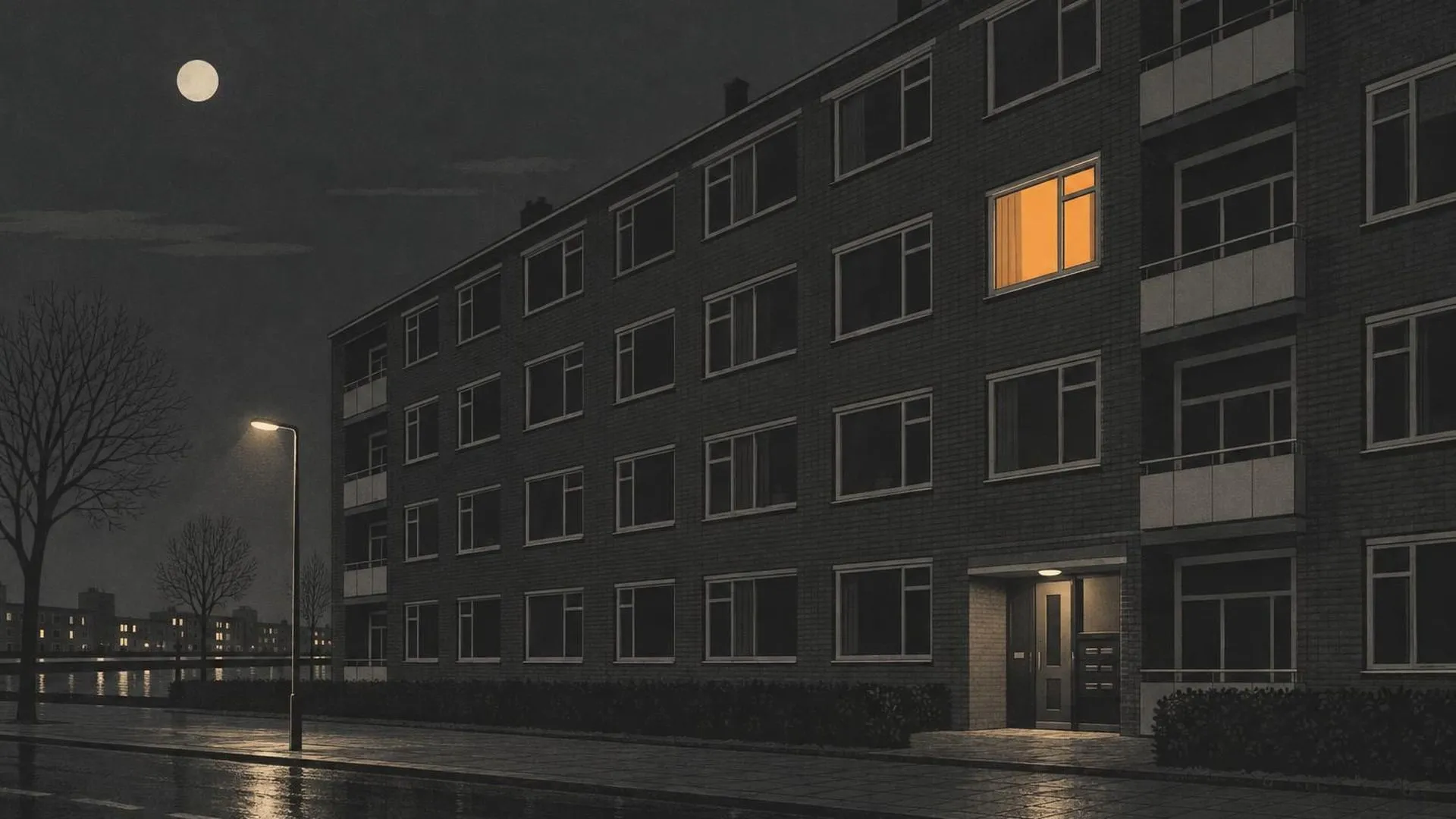 Eén verlicht raam tussen rijen donkere ramen aan de gevel van een Nederlands flatgebouw 's nachts, gezien vanaf de straat.