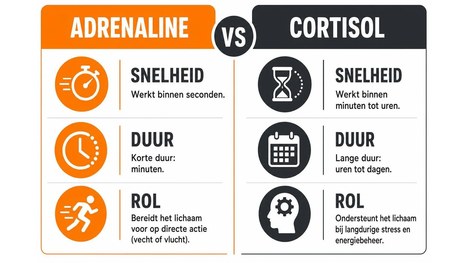 Vergelijking van adrenaline en cortisol op snelheid, duur en rol